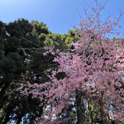 Sulle Orme Dei Maestri 27