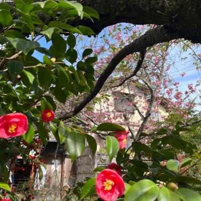 Un Altro Perfect Day 32