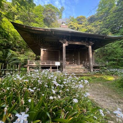 Kamakura 11