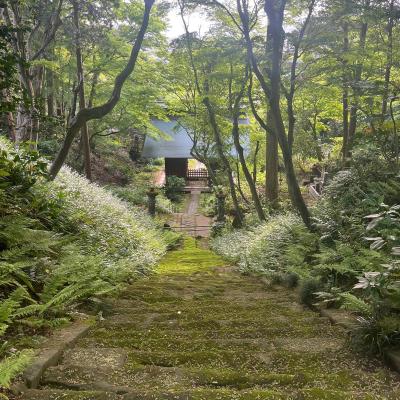 Kamakura 12