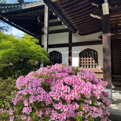 Kamakura 16