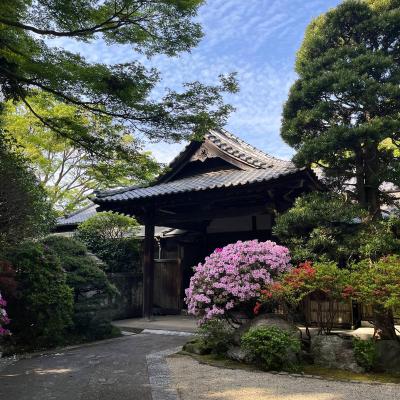 Kamakura 2