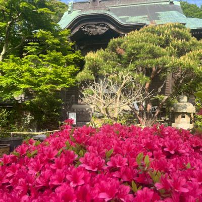 Kamakura 6