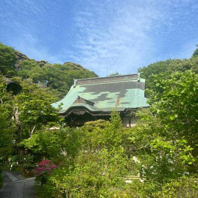 Kamakura 7