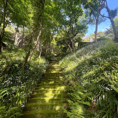 Kamakura 8