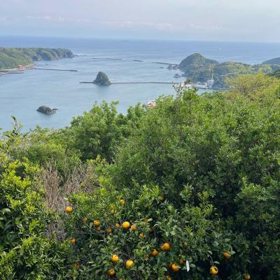 Shimoda 13