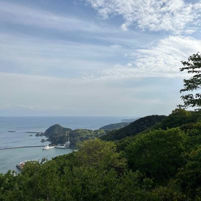 Shimoda 14