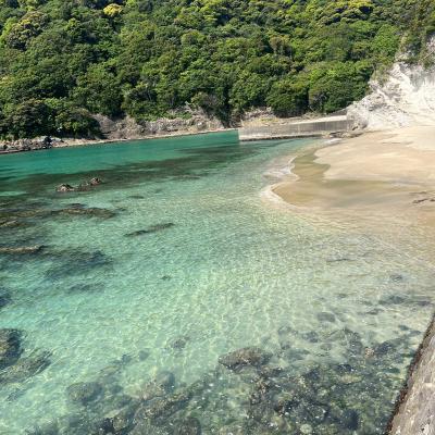Shimoda 19