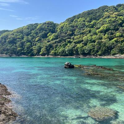 Shimoda 1