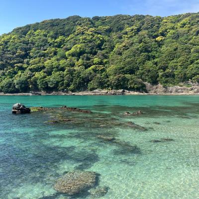 Shimoda 20