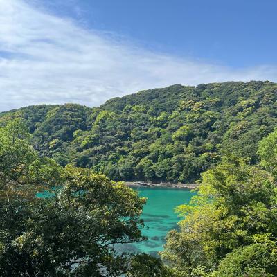 Shimoda 3