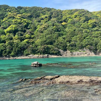 Shimoda 6