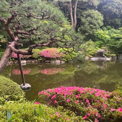Tokyo Ragu E Altre Cose Speciali 13
