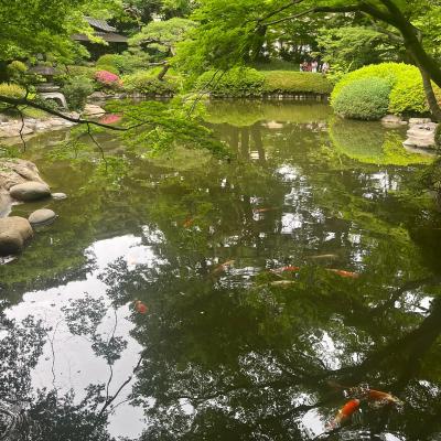 Tokyo Ragu E Altre Cose Speciali 16