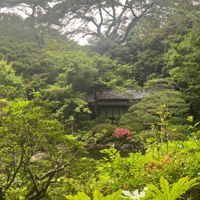 Tokyo Ragu E Altre Cose Speciali 17
