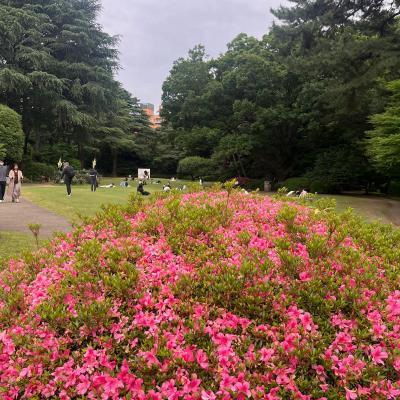 Tokyo Ragu E Altre Cose Speciali 8