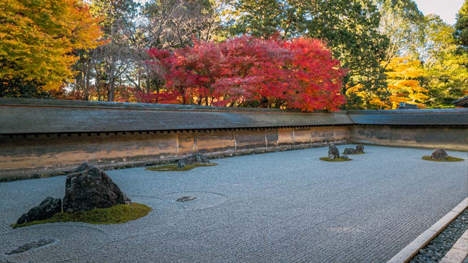 Foresta di bambù di Arashiyama con colori autunnali e sentieri