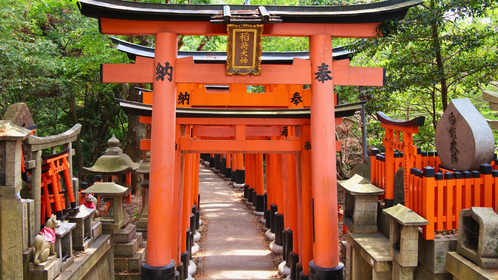 Nara tra templi, cervi in libertà e lanterne in un parco autunnale