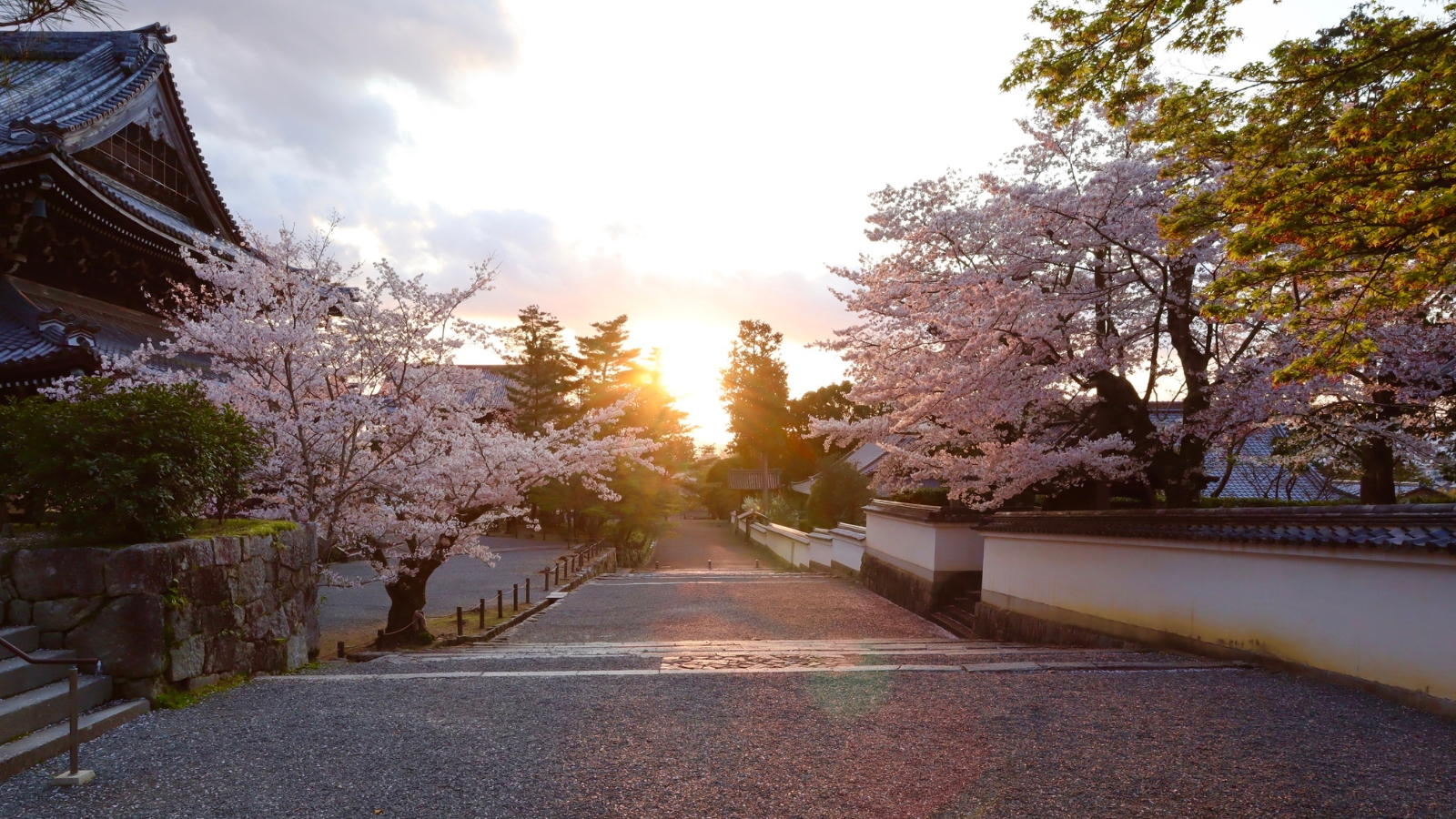 Giardini e foglie rosse del momiji nei templi di Kyoto