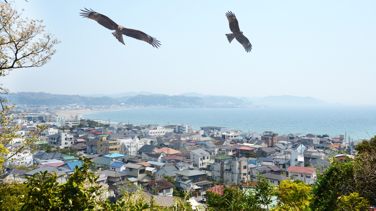 Kamakura sul mare con templi storici, sentieri e il Grande Buddha