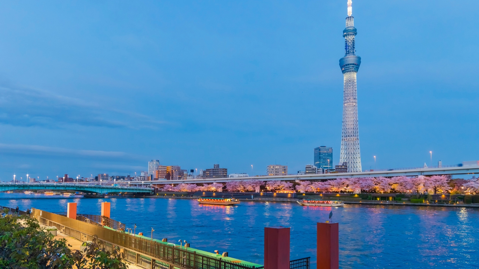 Asakusa e Sensō-ji, crociera sul Sumida e tramonto dalla Tokyo Sky Tree