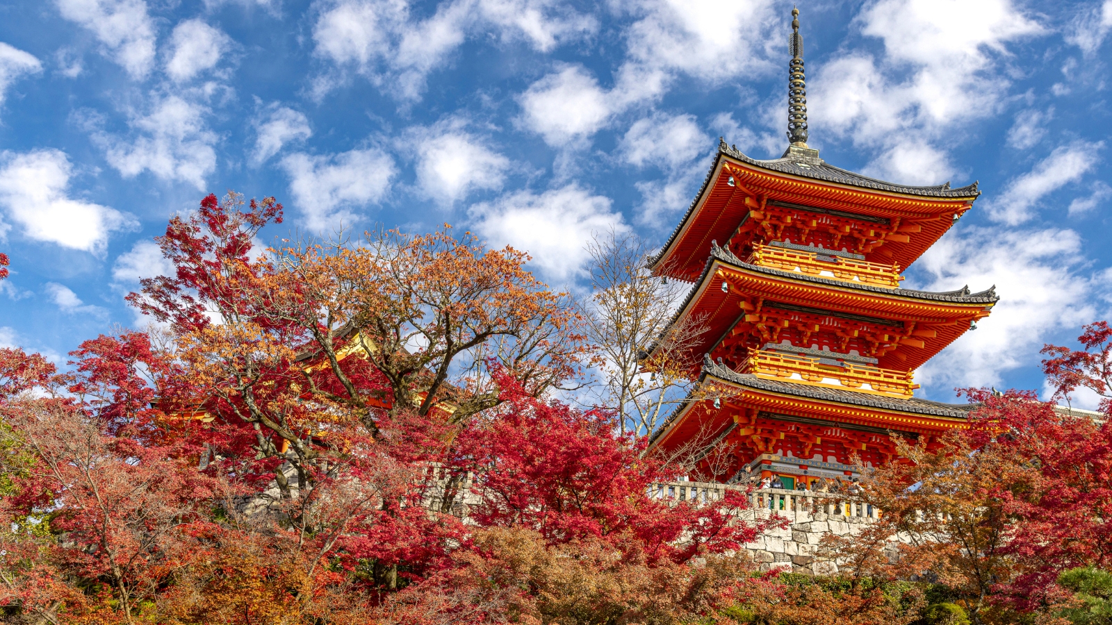 Giappone d'autunno - Kyoto