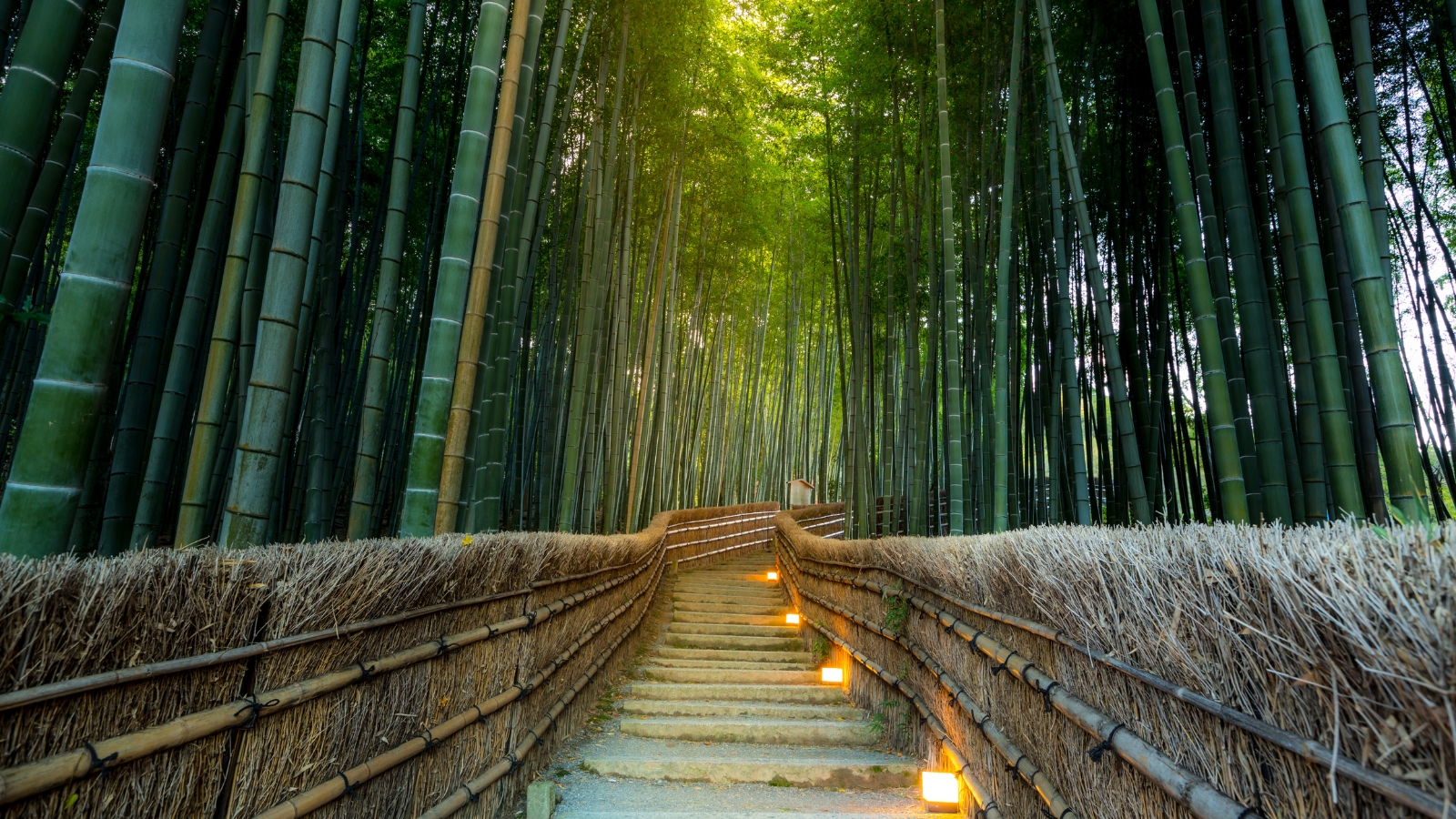 Giappone d'autunno - Arashiyama