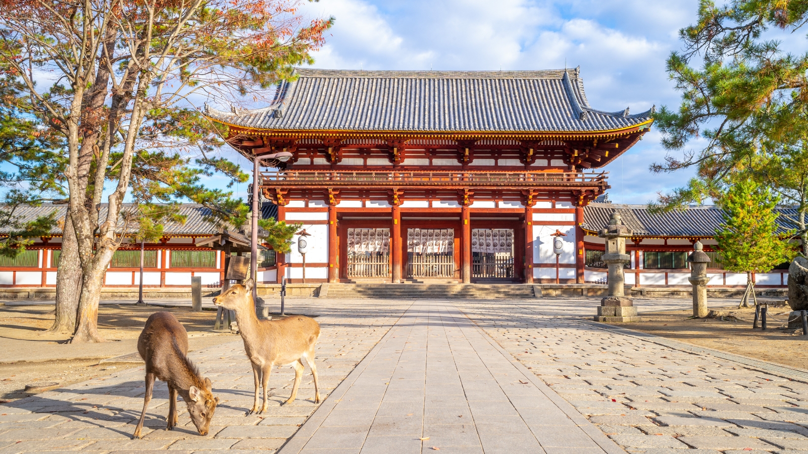 Giappone d'autunno - Nara