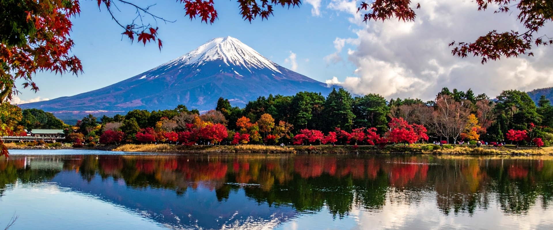 Giappone d'autunno, momiji e templi tra Kyoto, Nara e Tokyo