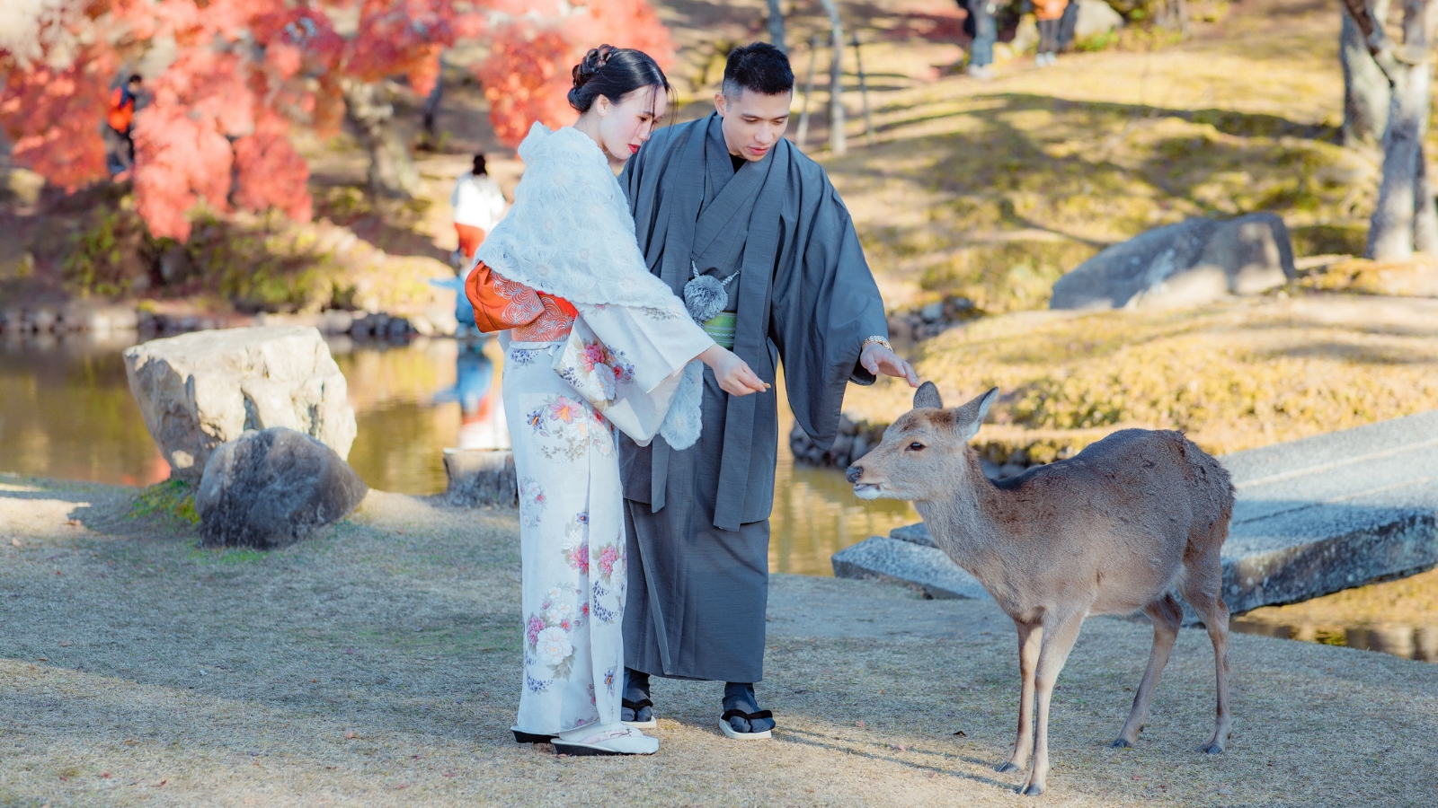 Nara: Tempio Todai-ji e cervi nel parco