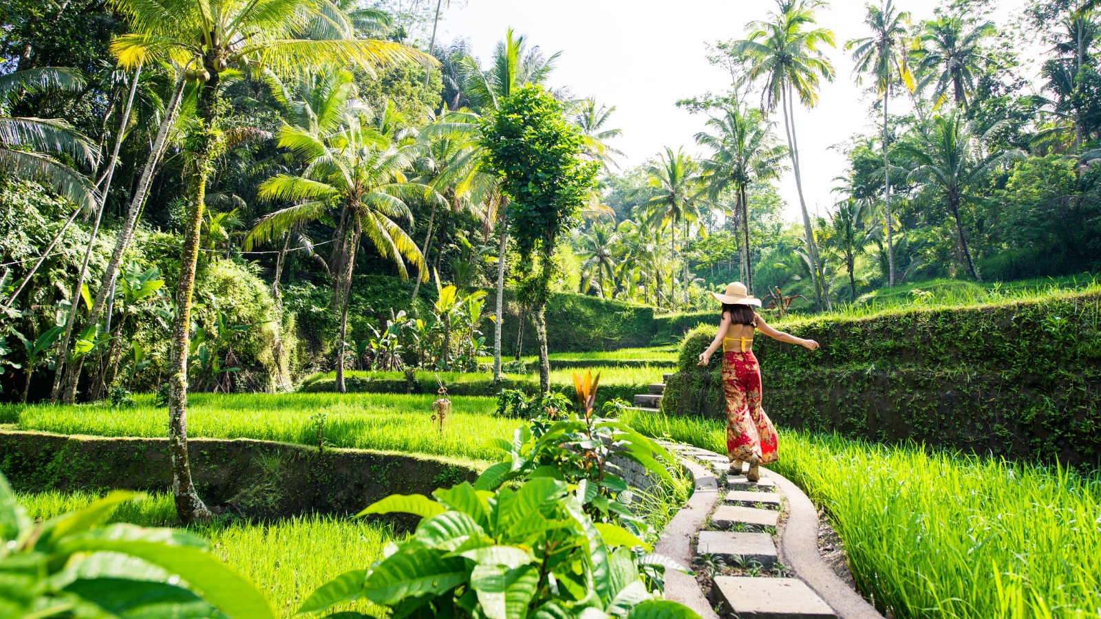 Bali - Ubud e risaie