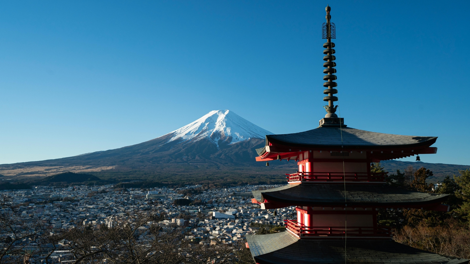 Mt. Koya: monasteri, foreste e atmosfera spirituale