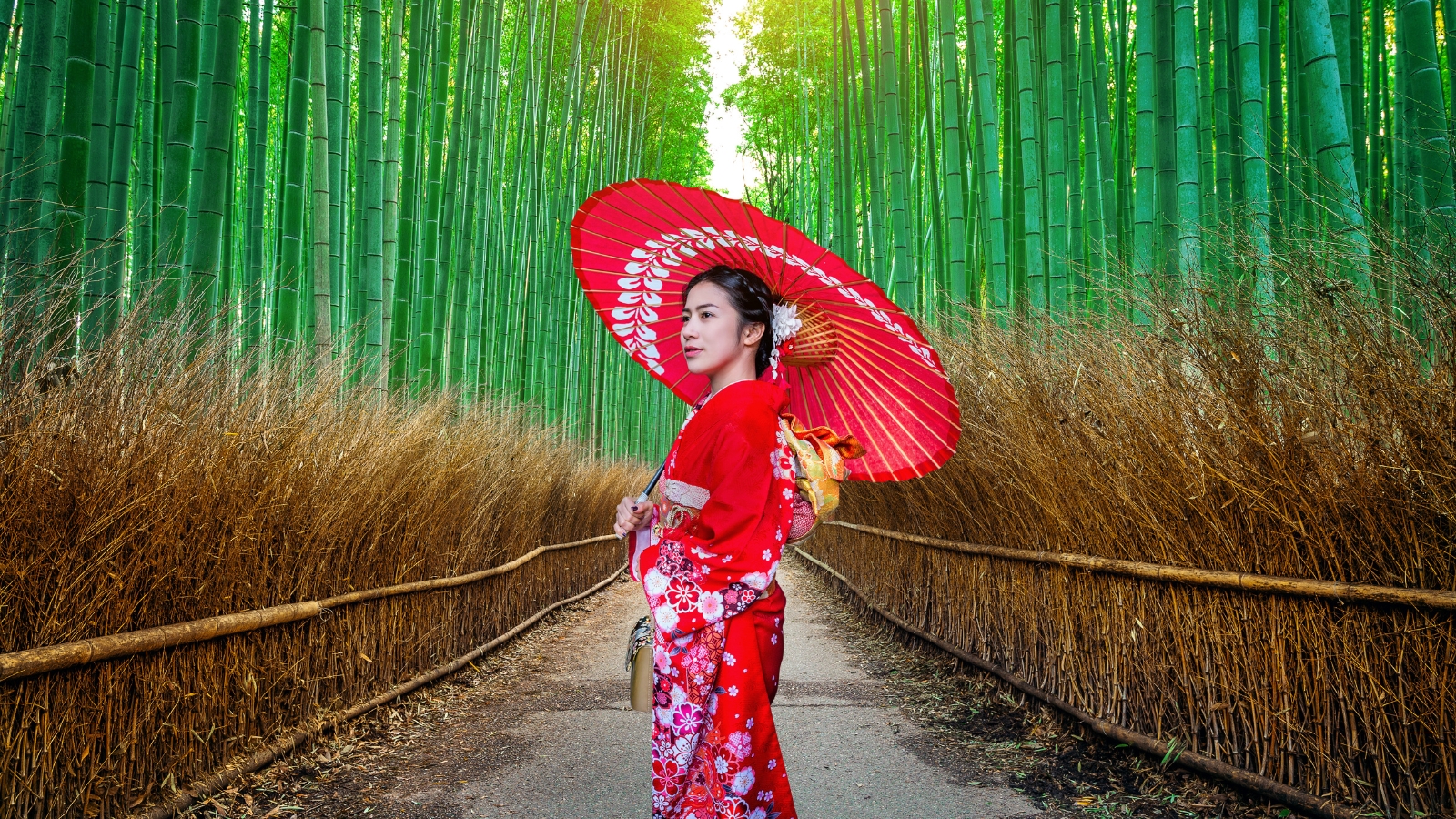 Kyoto - Templi e Arashiyama